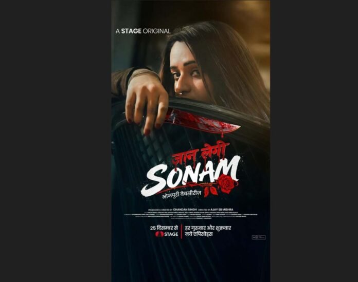 वेब सीरीज़